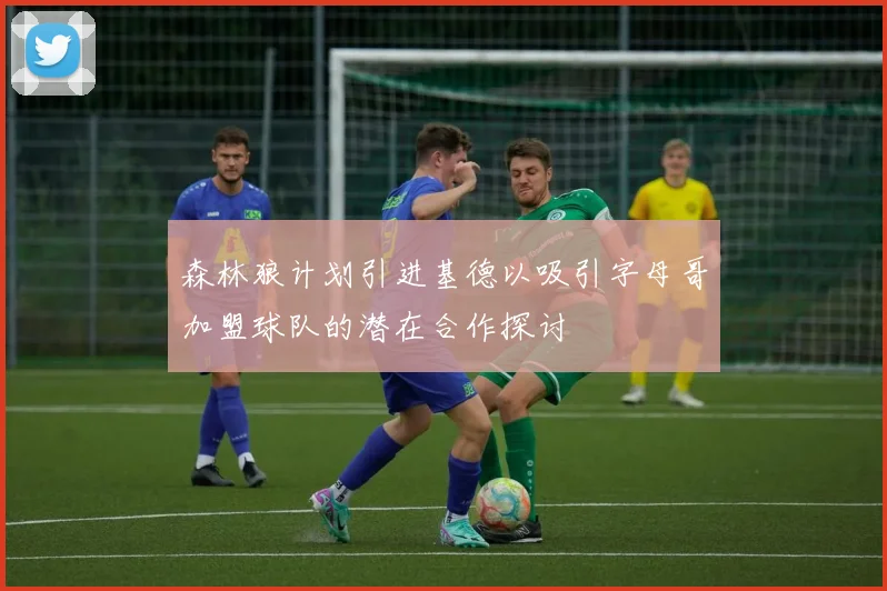 森林狼计划引进基德以吸引字母哥加盟球队的潜在合作探讨
