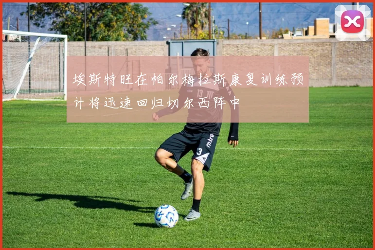 埃斯特旺在帕尔梅拉斯康复训练预计将迅速回归切尔西阵中